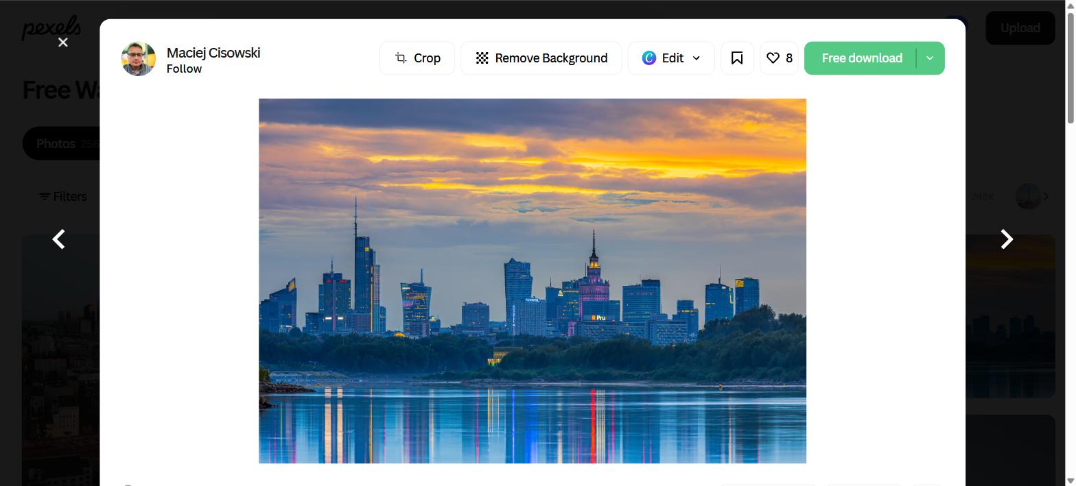 Why Polish Translation Demand Keeps Rising In Business