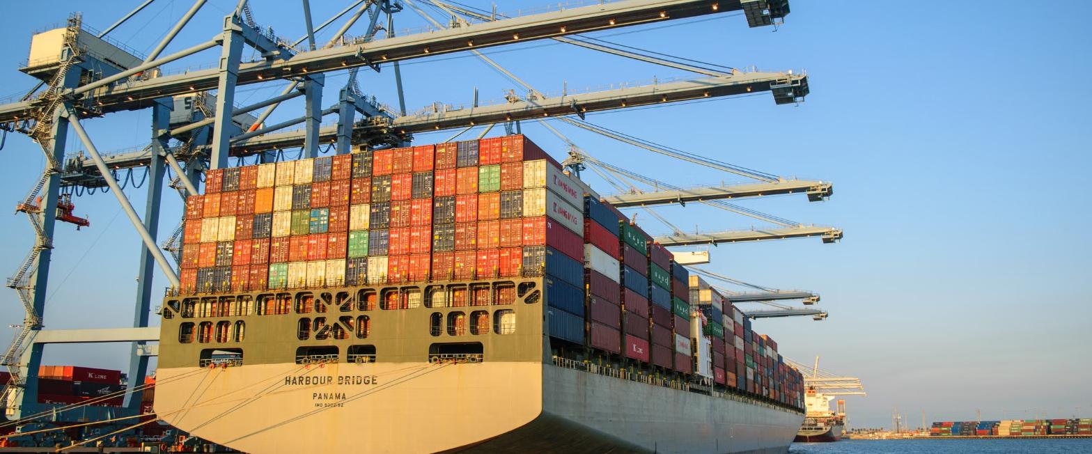 How UAE Traders Handle Invoices And Portuguese Contracts