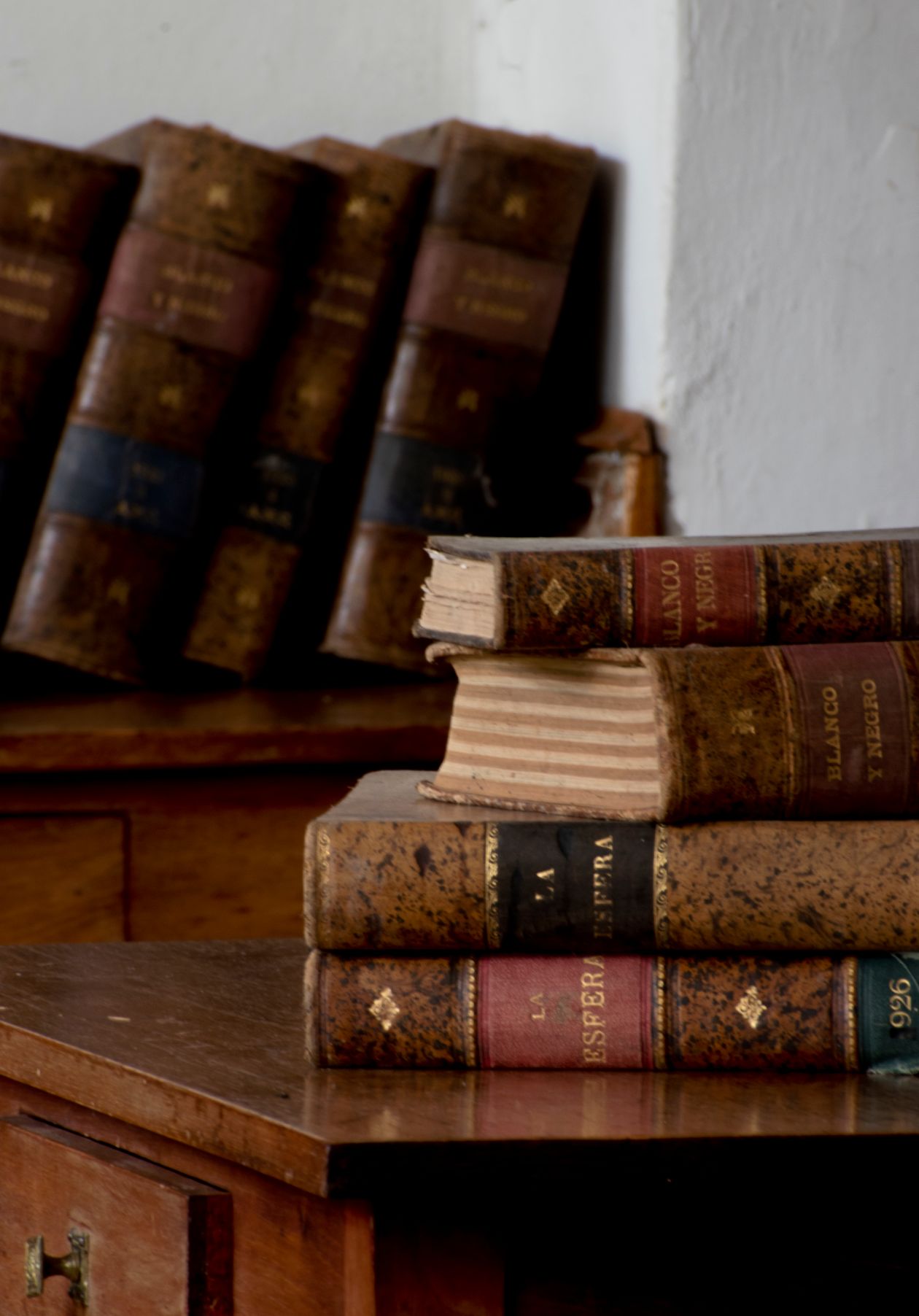 Vygotskij e Pavlov I Classici Russi Della Psicologia