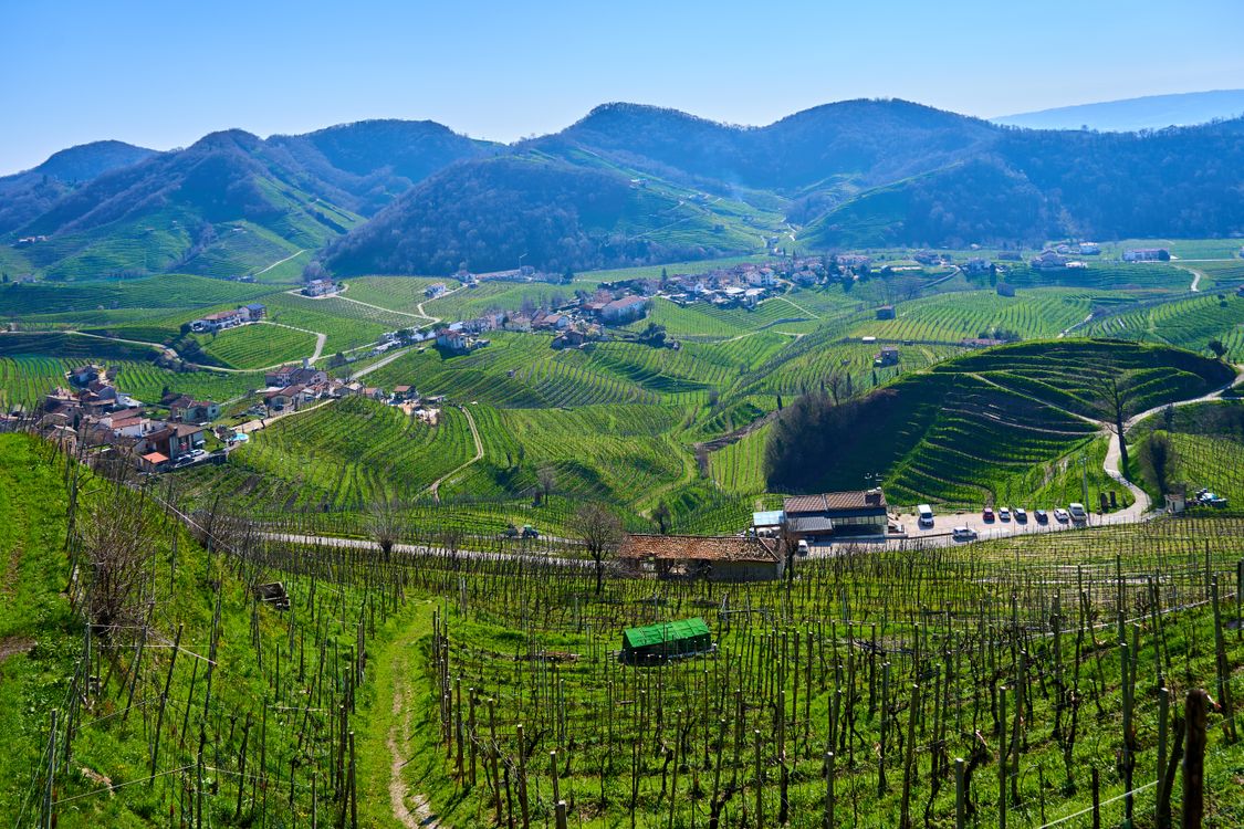 Traduzione Italiano Serbo Per Il Turismo Del Vino