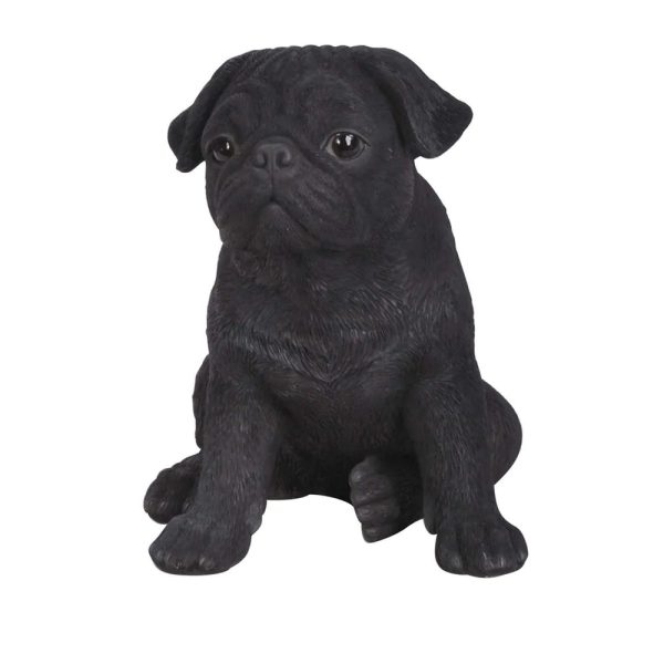 Pugs: What's Good About 'Em, What's Bad About 'Em