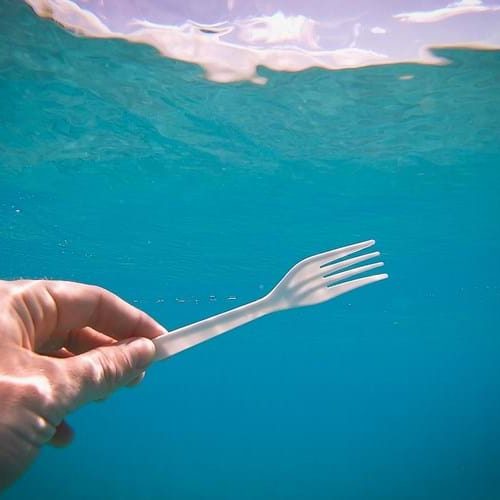 Is plastic affecting the ocean as a carbon sink?