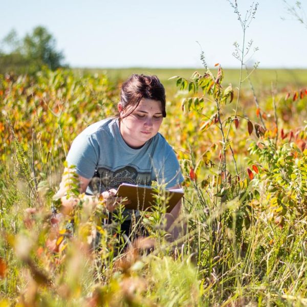 Ecology Topics Overview