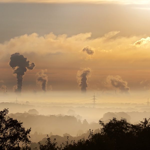 Help Nature Atmosphere Companies