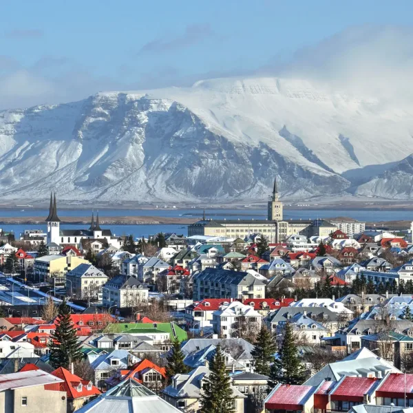 Icelandic Language