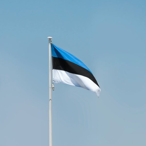 Estonians add neologisms to the dictionary
