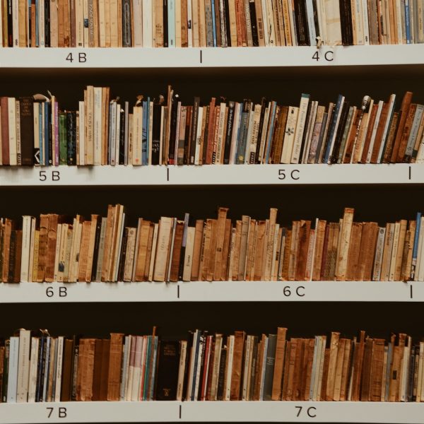 How Argentina’s year at the Frankfurt Book Fair boosted literary translation