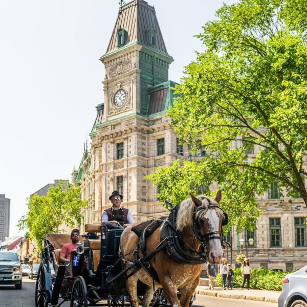 Quebec creating new system to determine English schooling