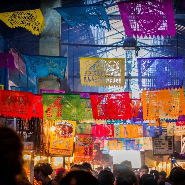 Insights into Languages How They Reflect Culture and Evolve