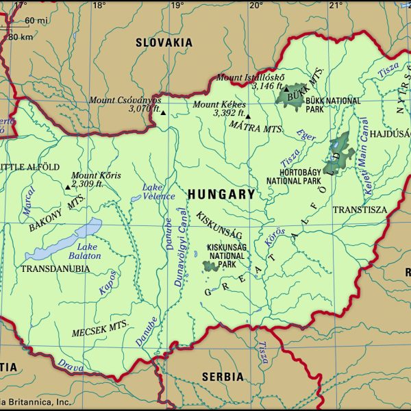 The Vengerian Language Explained: Inside Hungarian Vocabulary and Grammar
