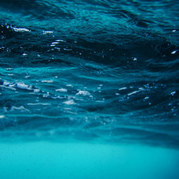 Water Paranormal Activity