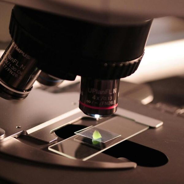 Come la ricerca condivisa combatte le più grandi sfide sanitarie del mondo