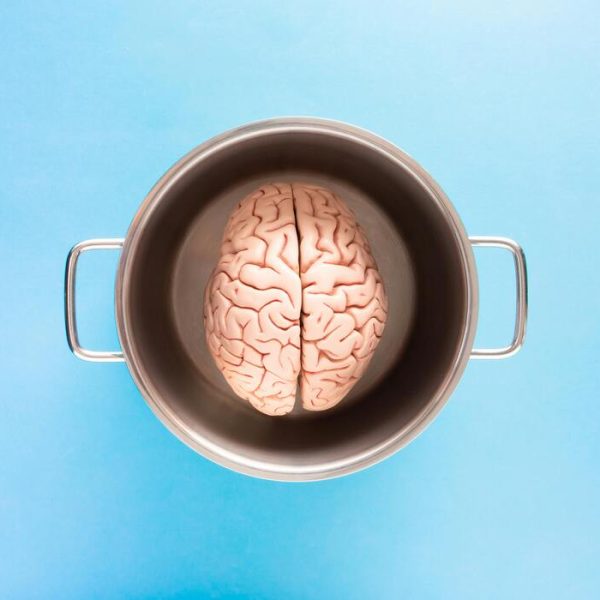 How Brain Research Is Unlocking Human Potential