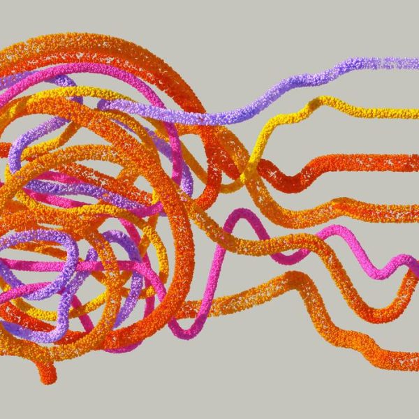 Cartographier le Cerveau au-Delà des Frontières