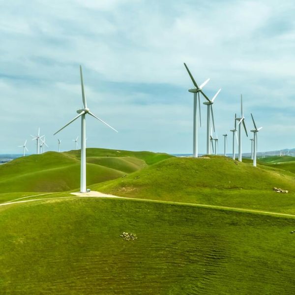 De los Datos a la Acción. Midiendo una Economía Verde