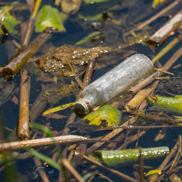 Rethinking Growth to Tackle Global Environmental Crises