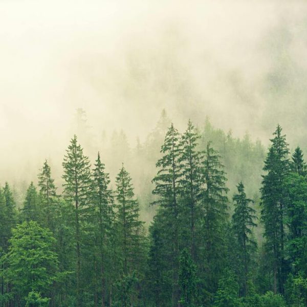 La Complessità del Nostro Ambiente Condiviso