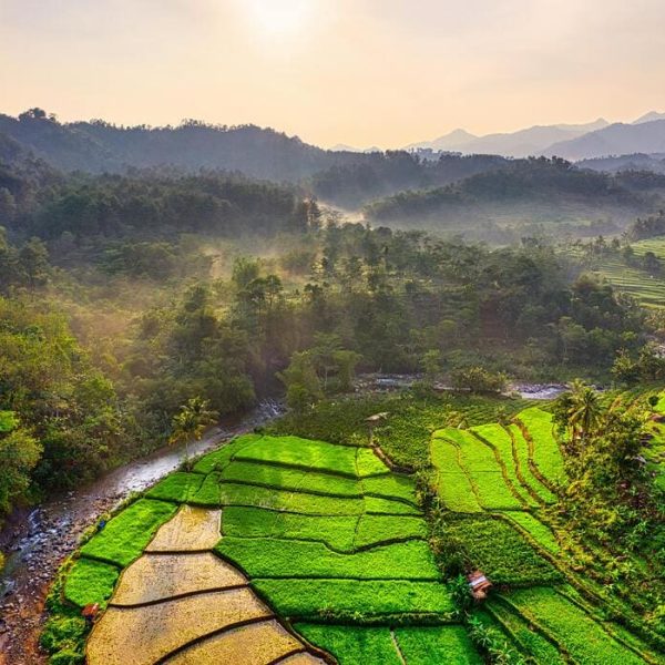Scopri la tua Avventura in Indonesia