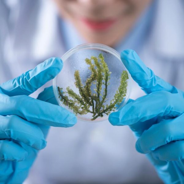 Biotech Breakthroughs Shaping the Future of Medicine