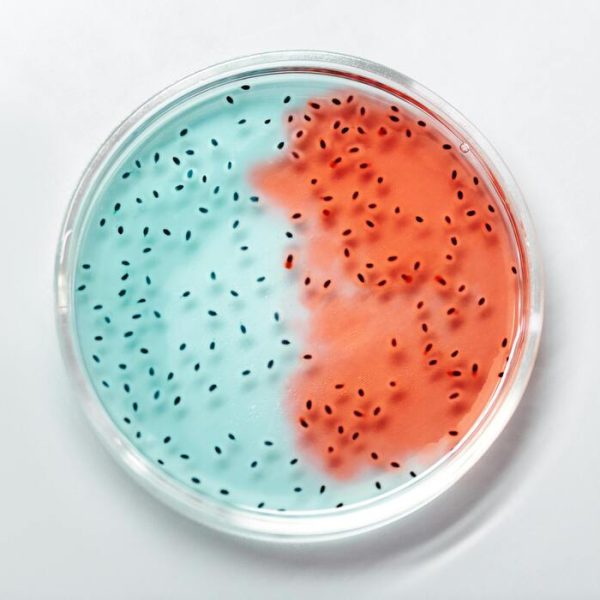 Principales innovaciones que están impulsando la industria biotecnológica