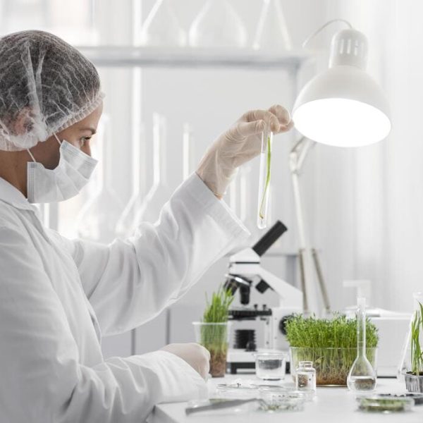L’intelligence Artificielle la Nouvelle Frontière de la Découverte Médicale