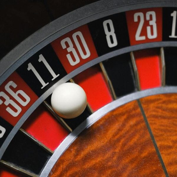 How Much Does It Cost to Start a Casino