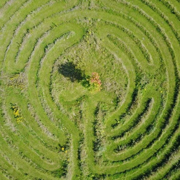How Everything on Earth Is Connected