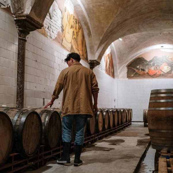 How Proofreading and Editing Improve Beer Factory Tours