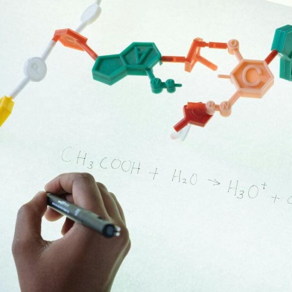 How Editing and Proofreading Support Dutch Science Excellence