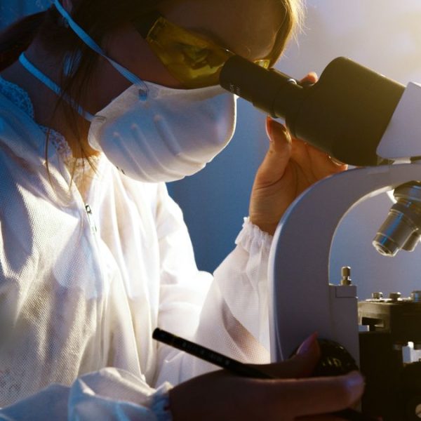 Perche Le Sperimentazioni Necessitano Vera Traduzione