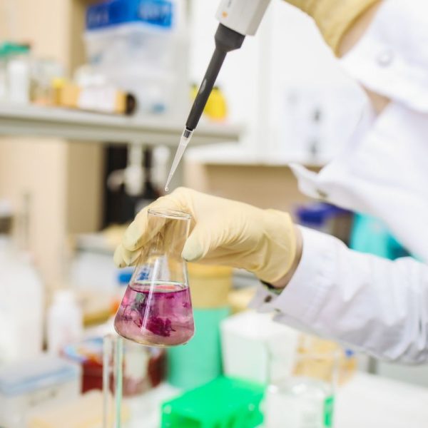 Why Regulatory Filings Need Real Translation