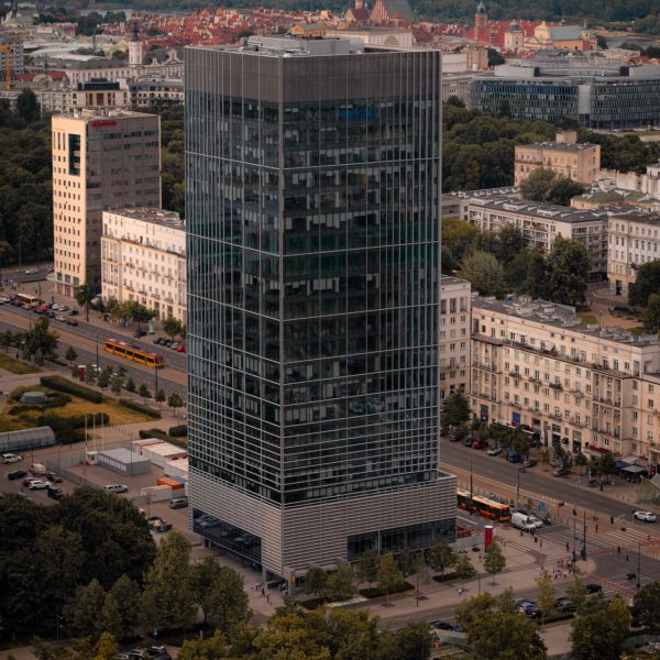 Why Polish Translation Demand Keeps Rising In Business