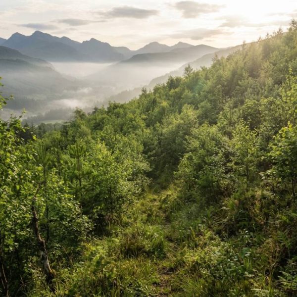 Ces trois pays qui réinventent chacun leur transition écologique