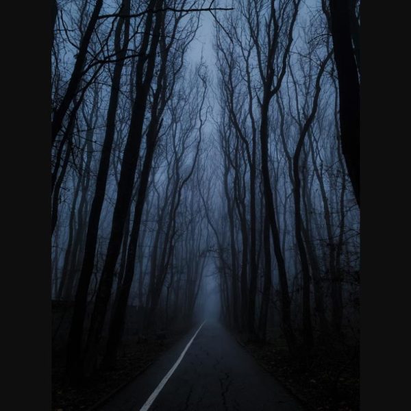Why Brazilian Ghost Stories Need Portuguese Translation