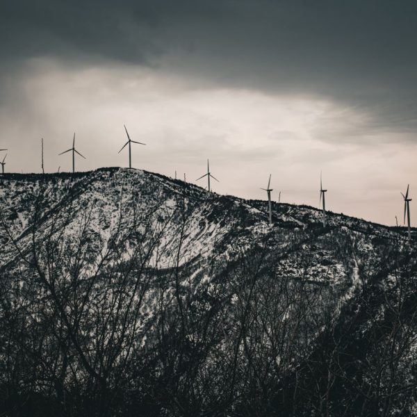 Come Lavorare con Aziende Green di Norvegia e Svezia