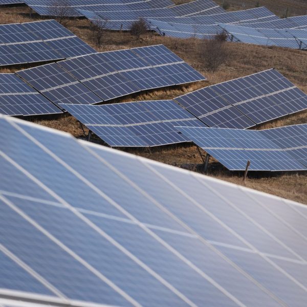 Cómo Importar Paneles Solares de China Sin Errores