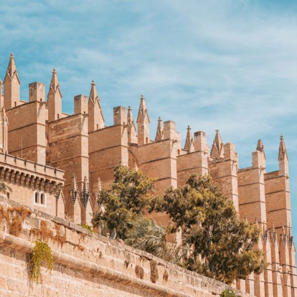 Why Romance Languages Boost Your Job Chances in Mallorca