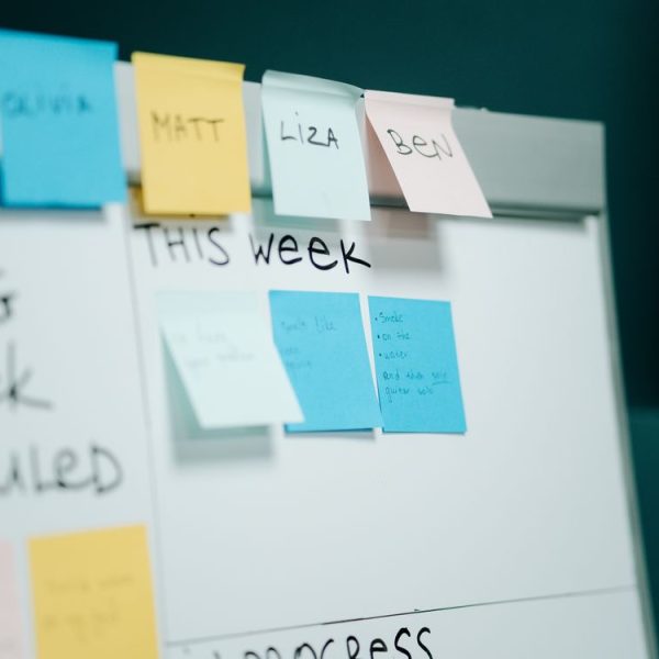 Building a Multilingual Content Plan That Scales