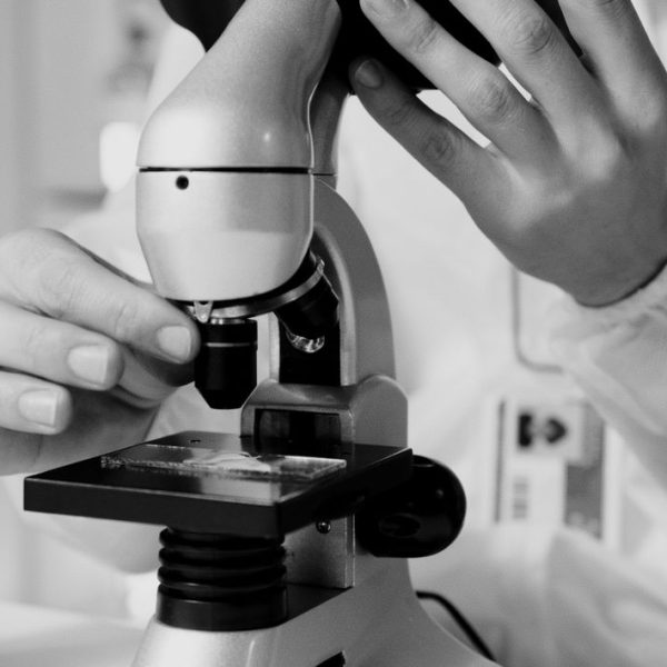 Come Preparare Studi Scientifici per Riviste Estere