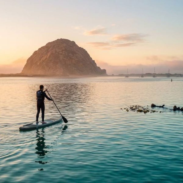 How to Start Stand Up Paddleboarding on Calm Coastal Water