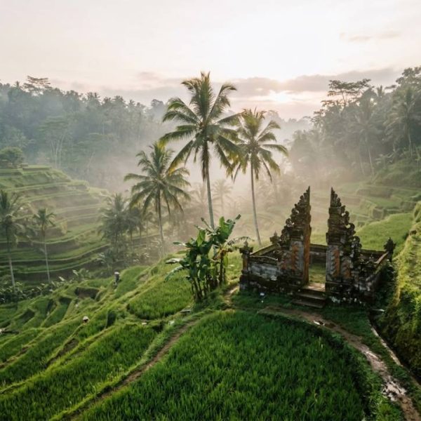 Discovering Indonesia's Culture, Islands and Natural Wonders