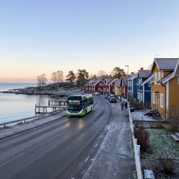 Grüne Wirtschaft im Norden, was Schweden besser macht