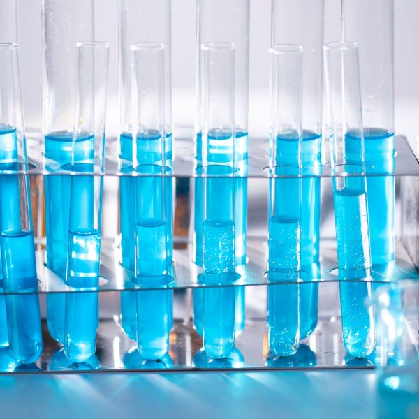 Brevetti Biotech e Traduzioni Che Costano Care
