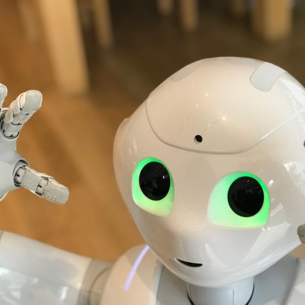 Language Translation Services for Gadget Reviewers