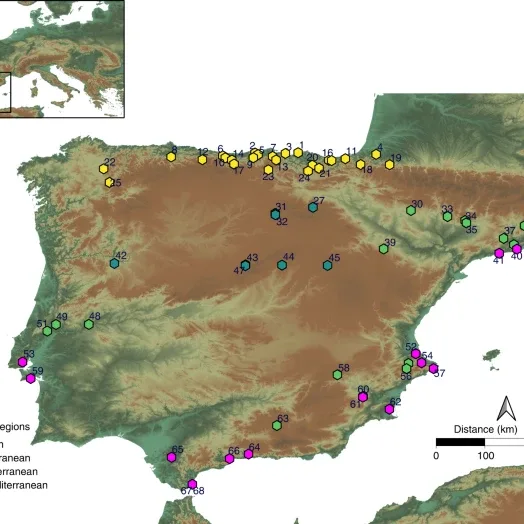 Ecosystem productivity affected the spatiotemporal disappearance of Neanderthals in Iberia