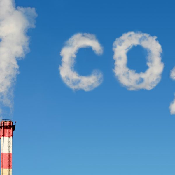 All the Ways to Remove Carbon Emissions From the Air