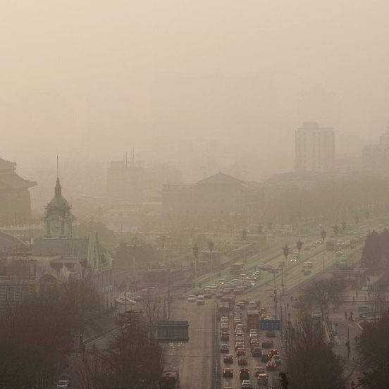 Urban ecology in China: Historical developments and future directions